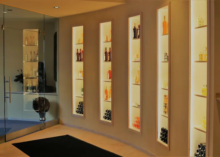 Schweizerhof Hotell 4*